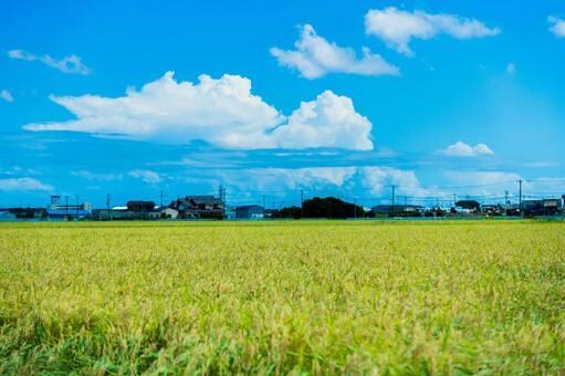 農地の贈与や相続で農地の処分お困りの方相談受けます 農地を使ってない、処分したい方、相談しませんか。 イメージ1