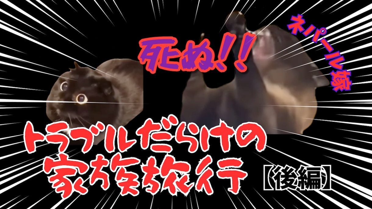 忙しいあなたに代わって猫ミーム動画作成します 体験談・日常系・解説系など各種対応！ イメージ2