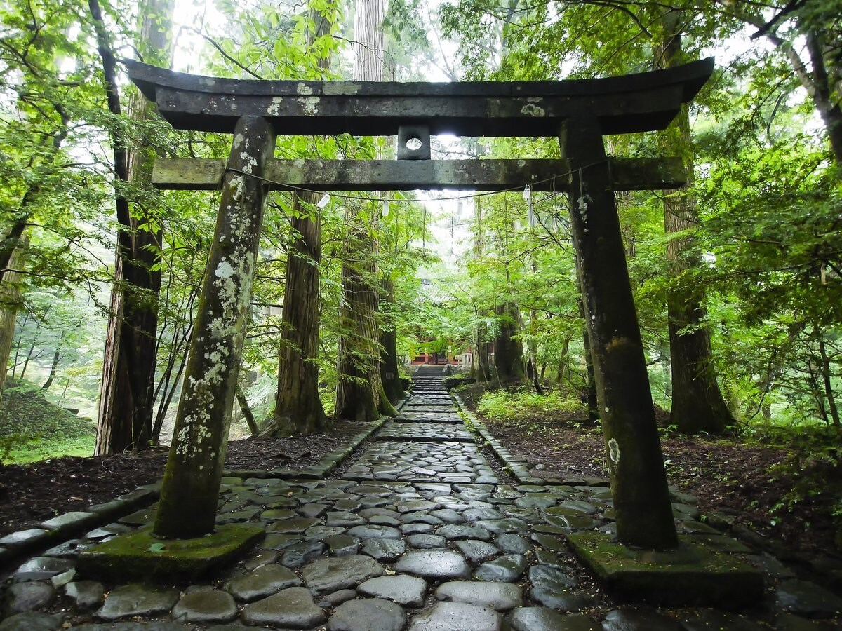 心に寄り添って一緒に考えます 自分の経験を元にお話聞きます。大丈夫 イメージ1