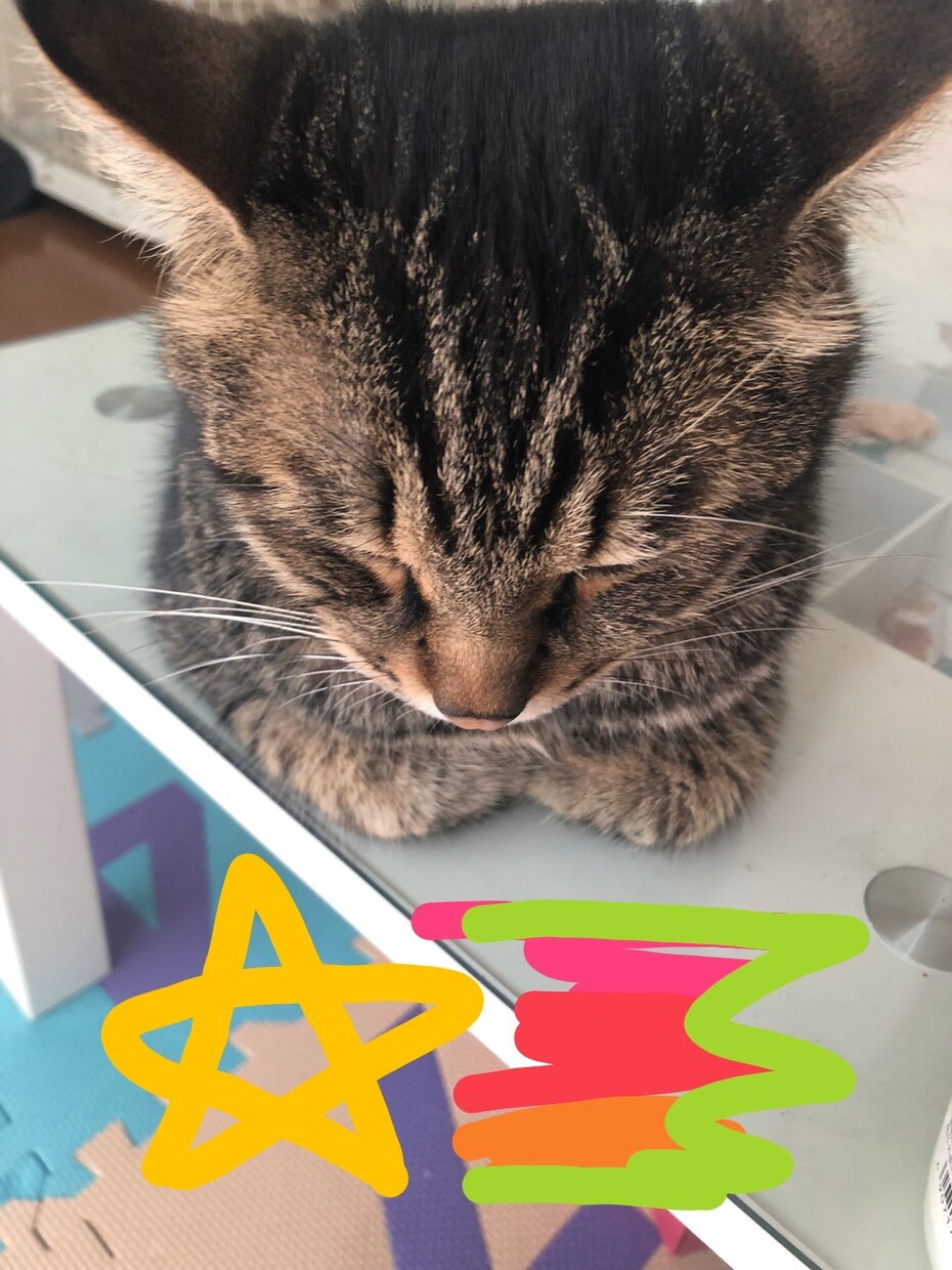 深く読み取っていきます タロットとダウジングで占います。丁寧に分かりやすく鑑定します イメージ1