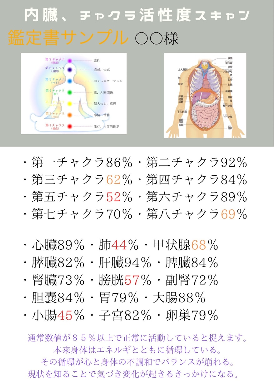 チャクラ、内臓エネルギーを数値化します スキャンから働きと活性度を数値化します イメージ2