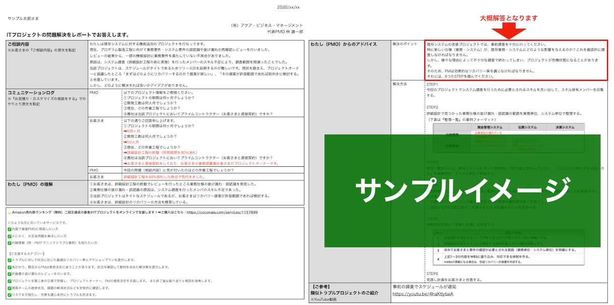 ITプロジェクトの問題解決をレポートでお答えします オープンお試し価格1,000円（10名まで） イメージ2