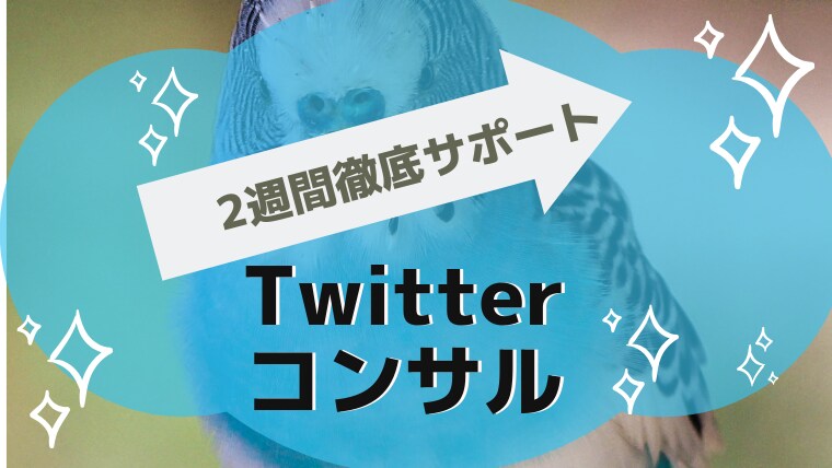 徹底的に！2週間Twitterコンサルします プロのプロフィール文作成付き！短期集中で実力アップ！ イメージ1