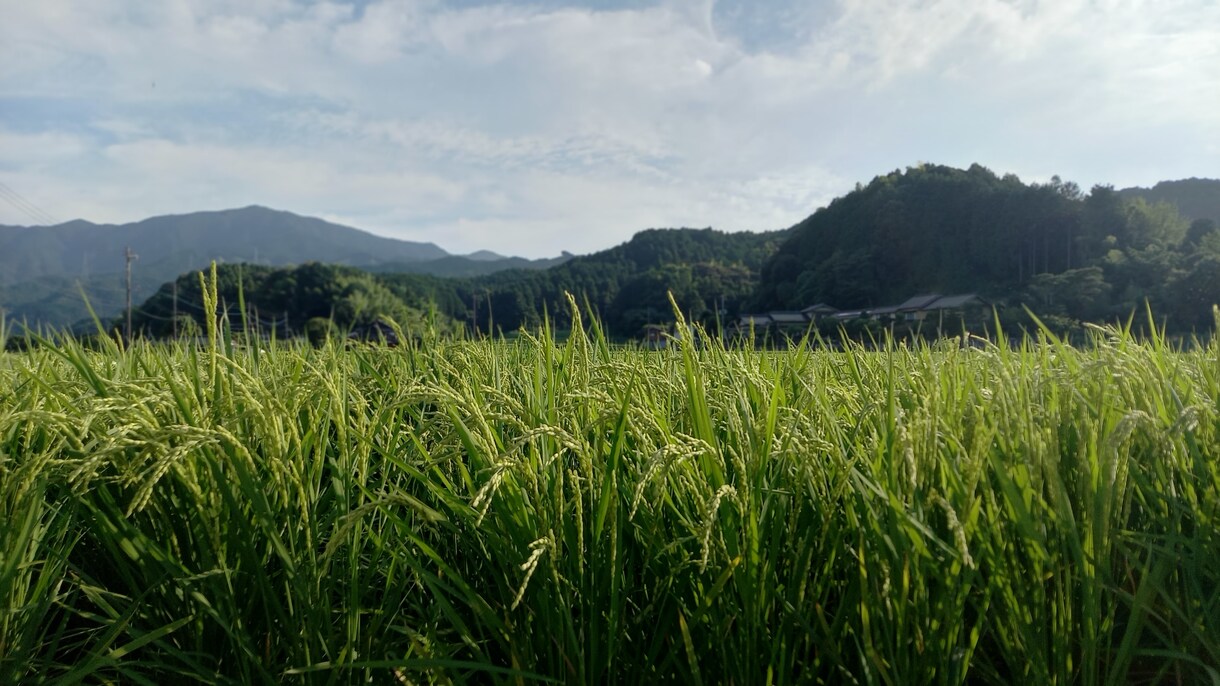 まずは現状維持！！ちょっとだけお供します 自称「プロの引きこもり」と一緒に先ずは明日を迎えませんか。 イメージ1