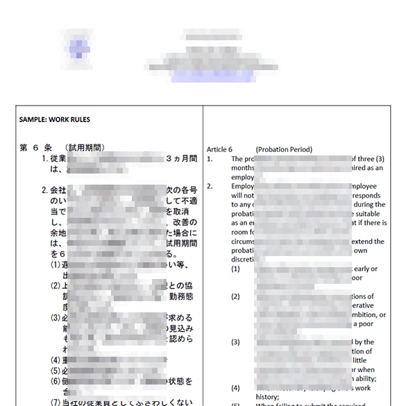 現役翻訳家2名バイリンガル・ネイティブで翻訳します 〈翻訳で後悔したくない方へ〉“アフターフォロー付き”安心対応 イメージ7
