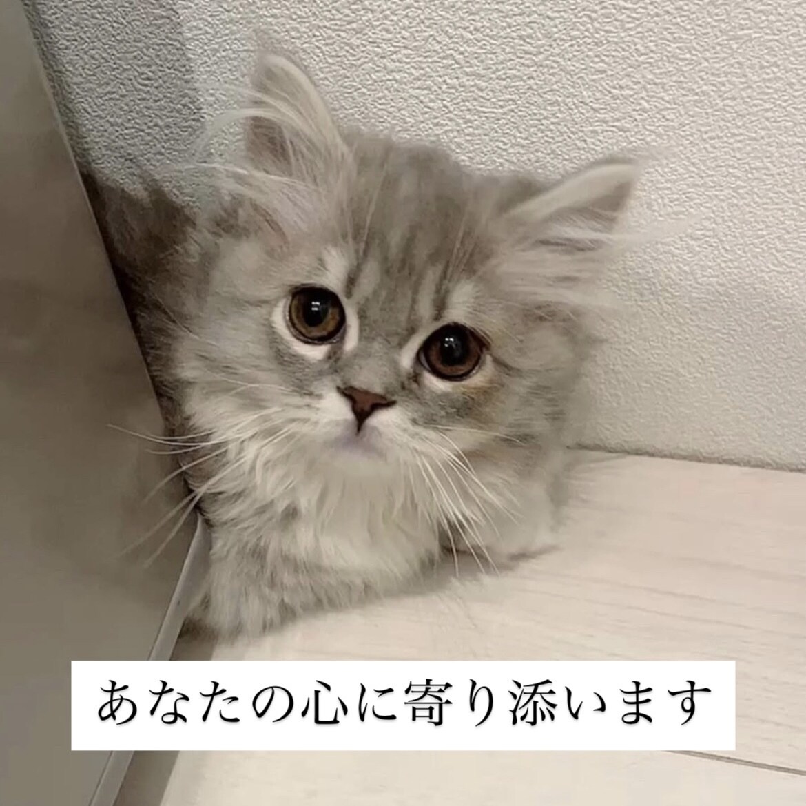 恋愛で苦しくなったあなたの味方になります 愚痴・相談OKです。あなたの心に寄り添います。 イメージ1