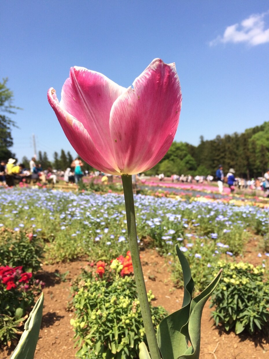 お話相手になります 悩み相談、愚痴、落ちこんでいる時など… イメージ1