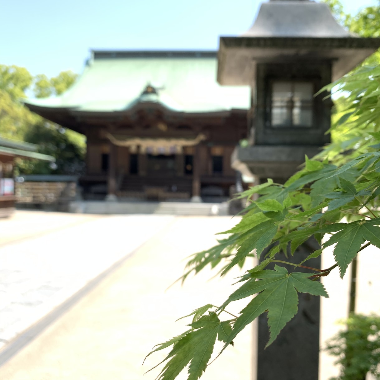 直接対話でスピリチュアルカウンセリングいたします 自分自身で幸せな人生を創る！プロスピリチュアラーとの対話。 イメージ2