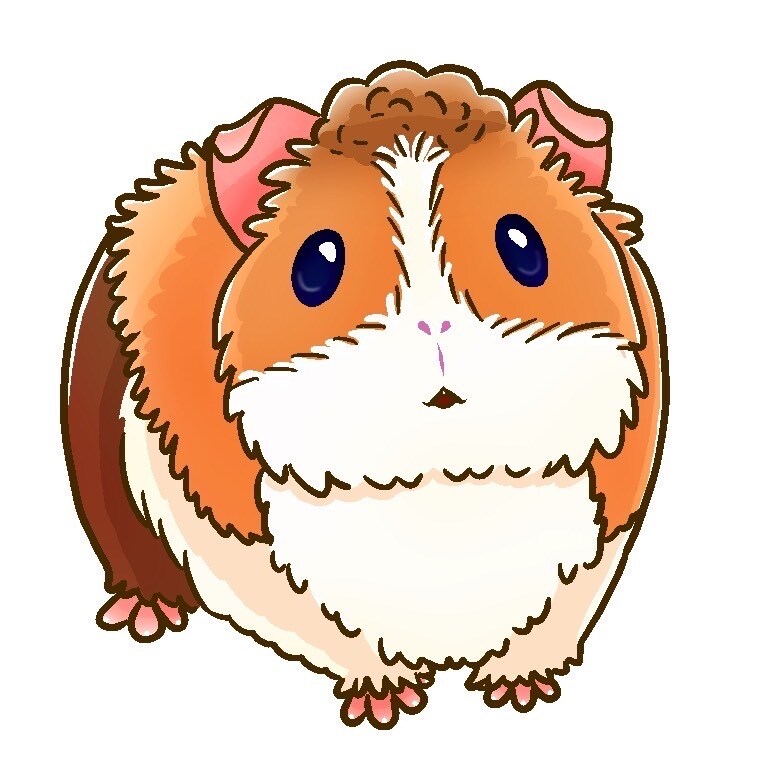 かわいい動物・人物アイコン作ります 動物ベースのかわいいオリジナルアイコンを作ります イメージ1