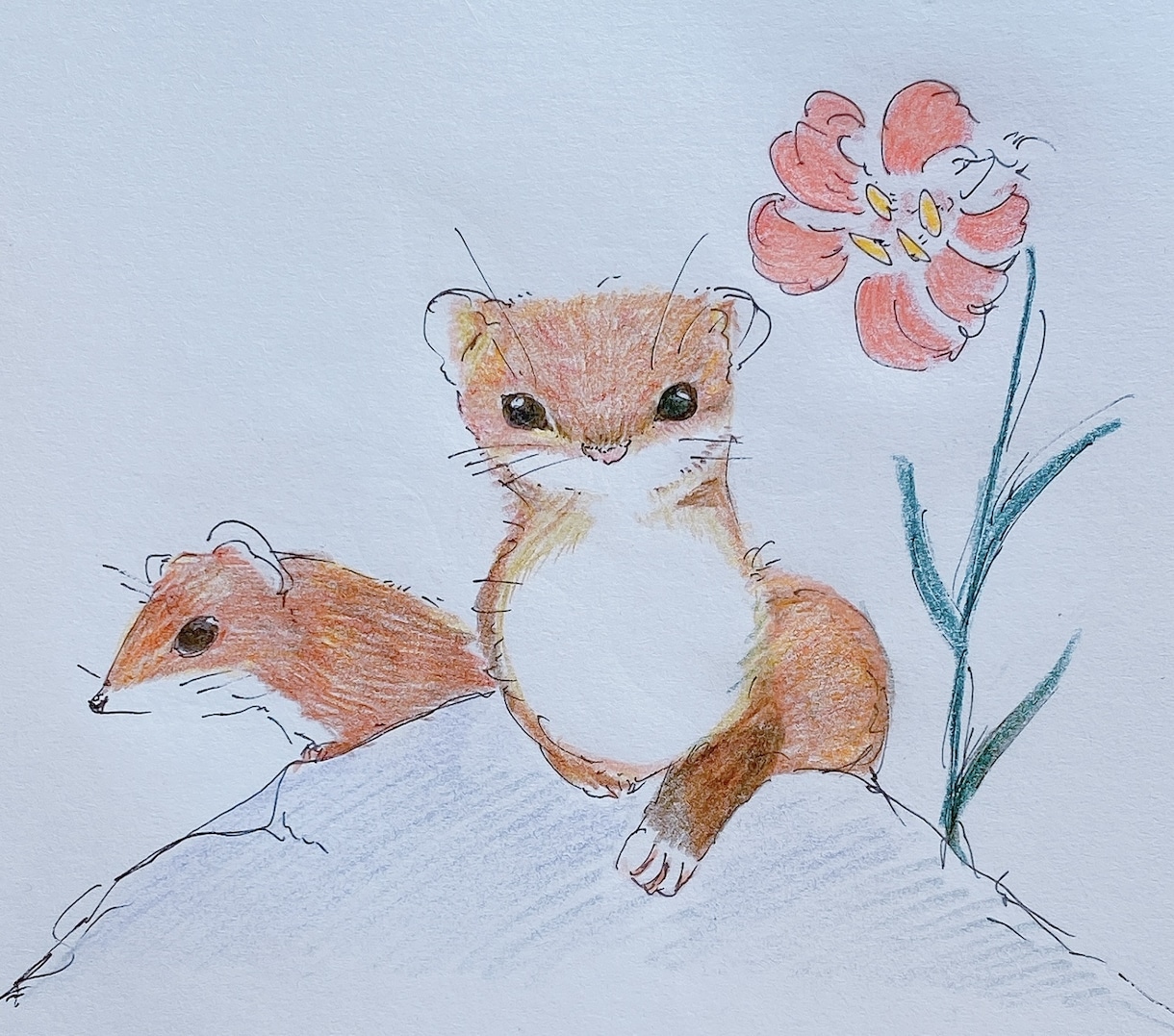 動物のイラストかきます 動物のイラストをかきますお気軽にどうぞ！ イメージ1