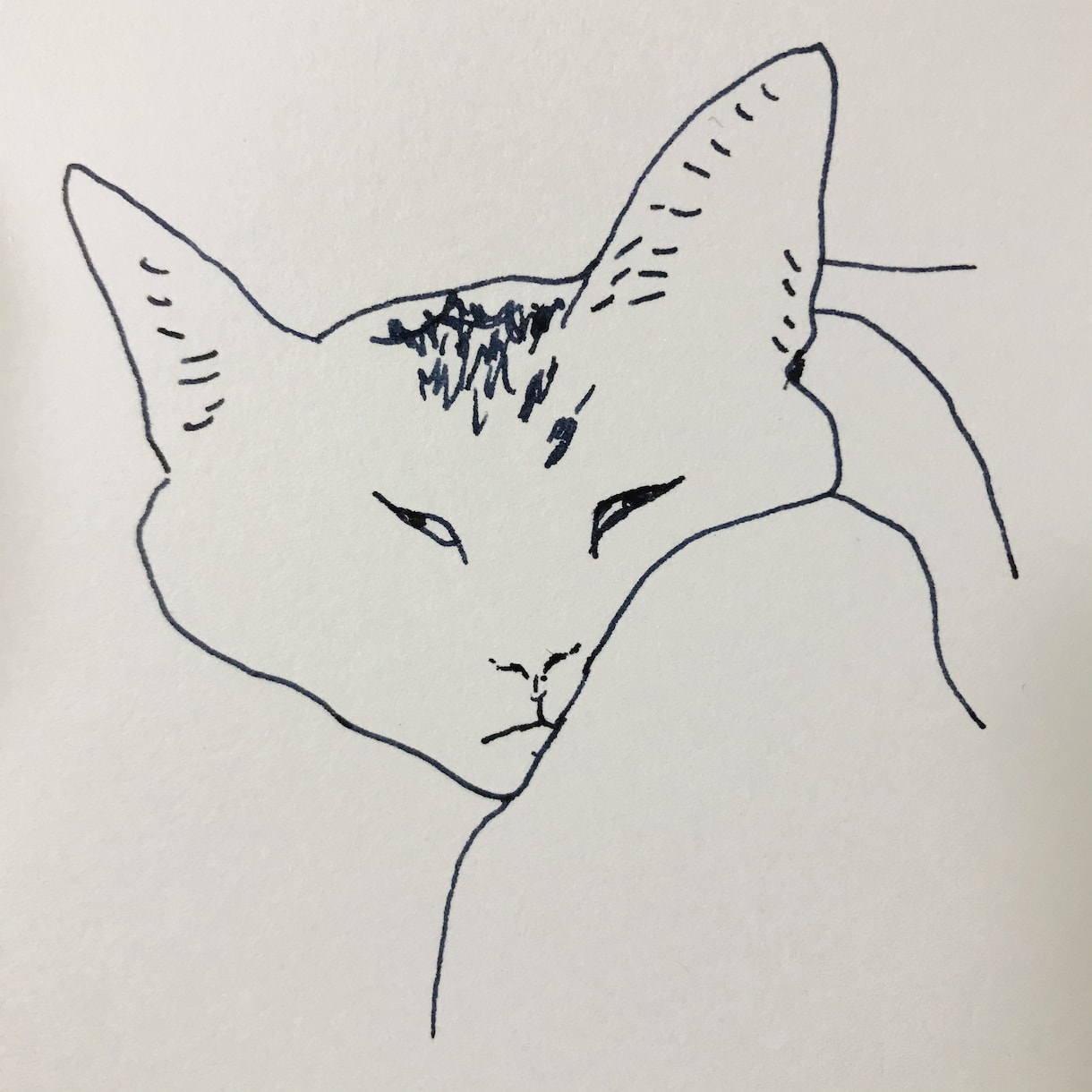 色んな猫　描きます ご自身のペット似顔絵・アイコン、猫好きの方に♡ イメージ1
