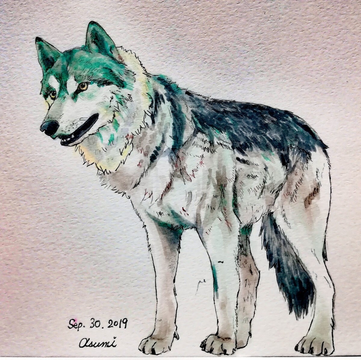 リアルタッチのペットイラスト描きます ペット•動物イラストの制作経験多！ご希望によって絵柄変更可！ イメージ5