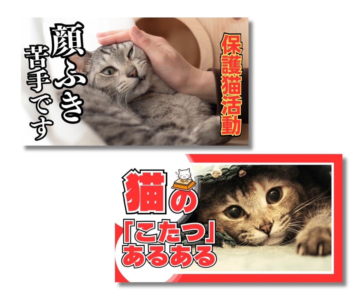 パッと目を引く動物のサムネイル制作します プロが制作！クリック＆再生数が上がる！YouTube集客に♪ イメージ9