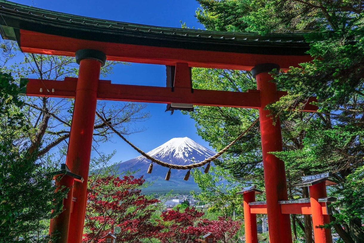 出張撮影　撮影代行　撮影全般致します あなたの素敵な想い出を残しませんか。 イメージ2