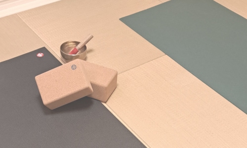 あなたの体に合わせたオンラインヨガをします ハタヨガ ベーシック　マンツーマンオンラインヨガレッスン イメージ3