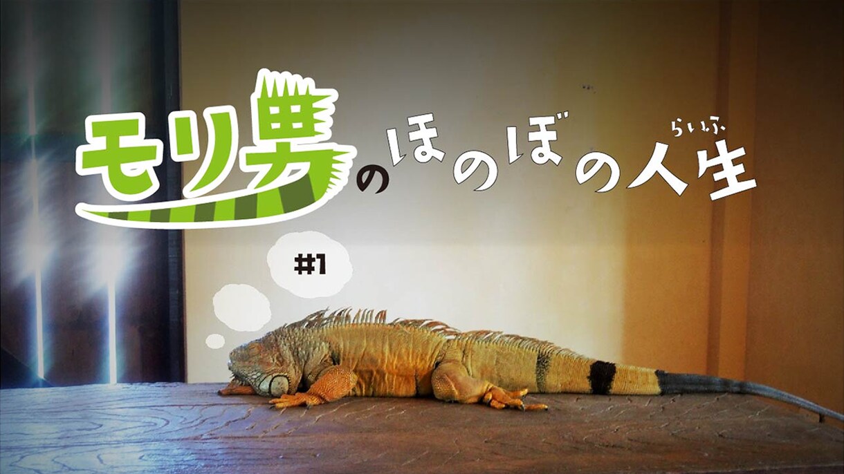 YouTubeのサムネイル作成致します チャンネルに合わせたサムネイルをご提供いたします！ イメージ4