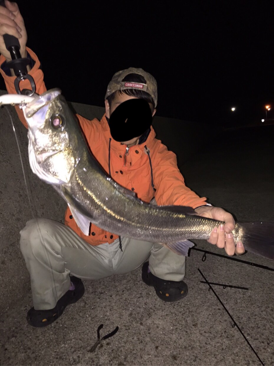 楽しめる釣り、釣りやすい、釣れるコツ教えます 釣りに興味があるけど何もわからない方、わかりやすく教えます♪ イメージ1