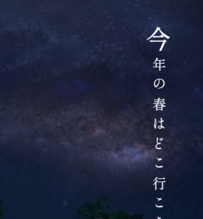 動画編集賜ります 思いのこもった編集をいたします。 イメージ6