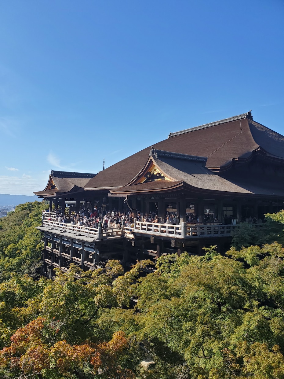 歴史関係のレポート課題などお助けします 読書感想文、大学レポート、記事執筆などお任せ下さい！ イメージ6