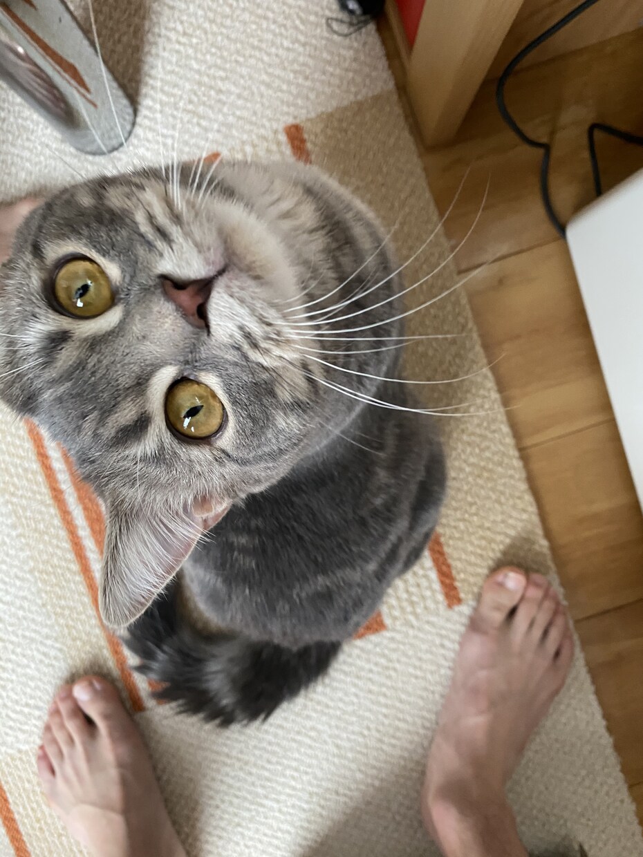 気軽にご相談を聴き寄り添います 今までの経験から何か伝えられればと思います⭐️ イメージ1