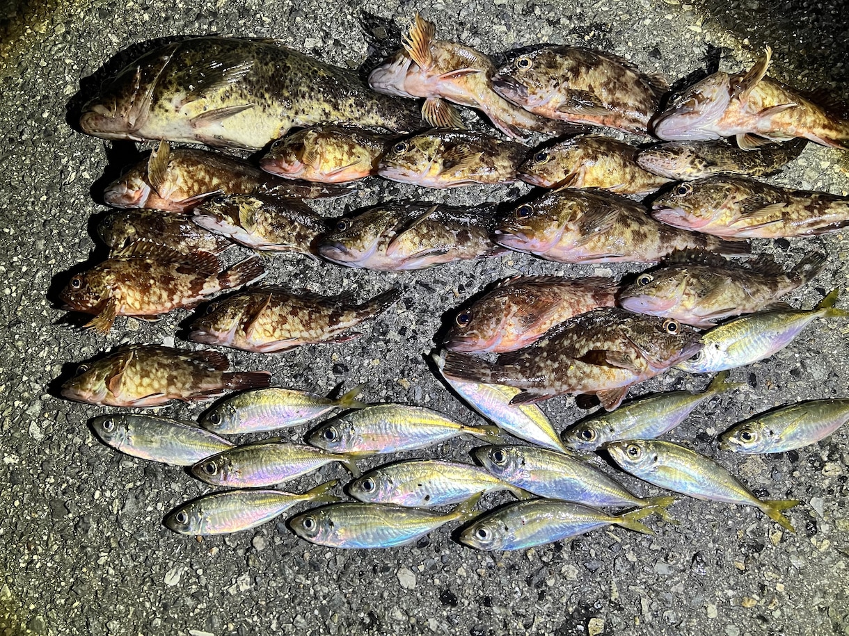 完全初心者向け、釣りの楽しさ教えます 釣り歴20年の私が釣りの全てを伝授いたします！ イメージ2