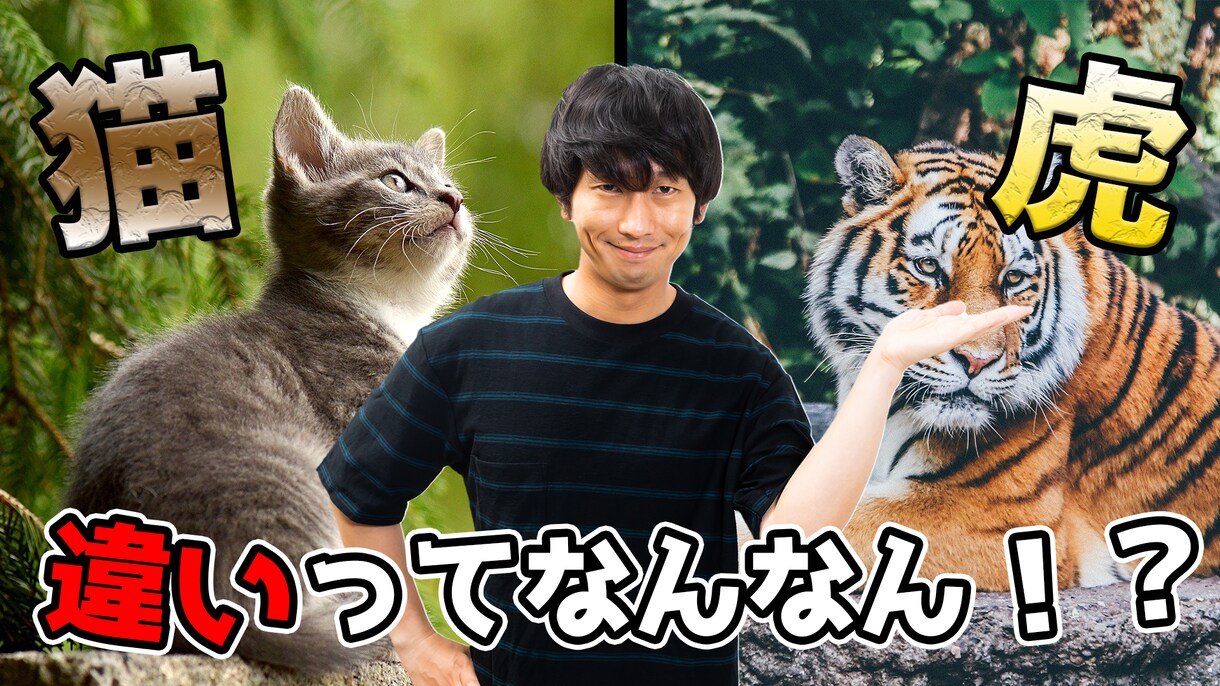 2枚セットYoutubeのサムネイルお作りします YouTube／サムネイル画像／目立つ/高品質/短納期 イメージ3