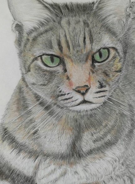 大切なペットの遺影を手描きで制作します 大切なペットの遺影を心を込めて手描きで制作します。 イメージ7