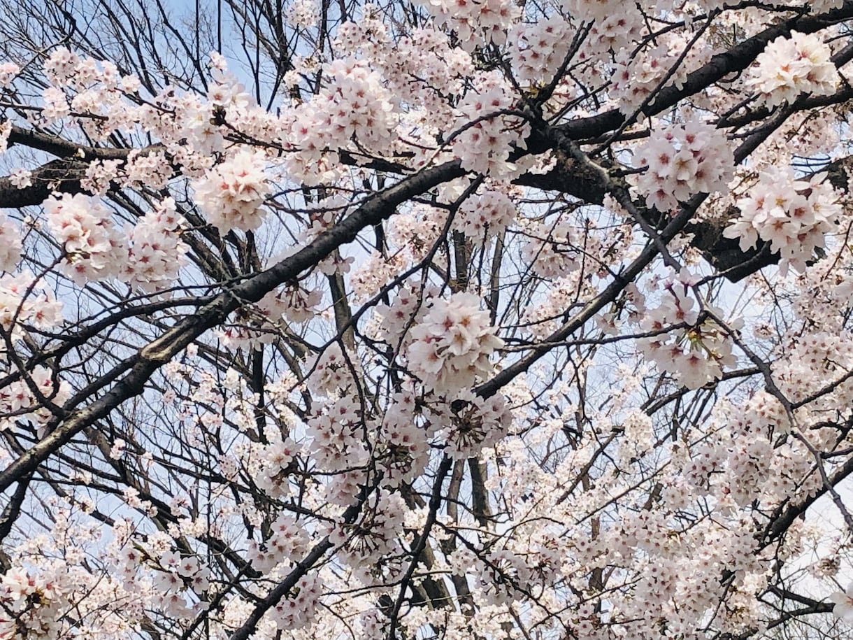 あなたの個性教えます 生年月日でわかるあなたの生まれ持った性質 イメージ1