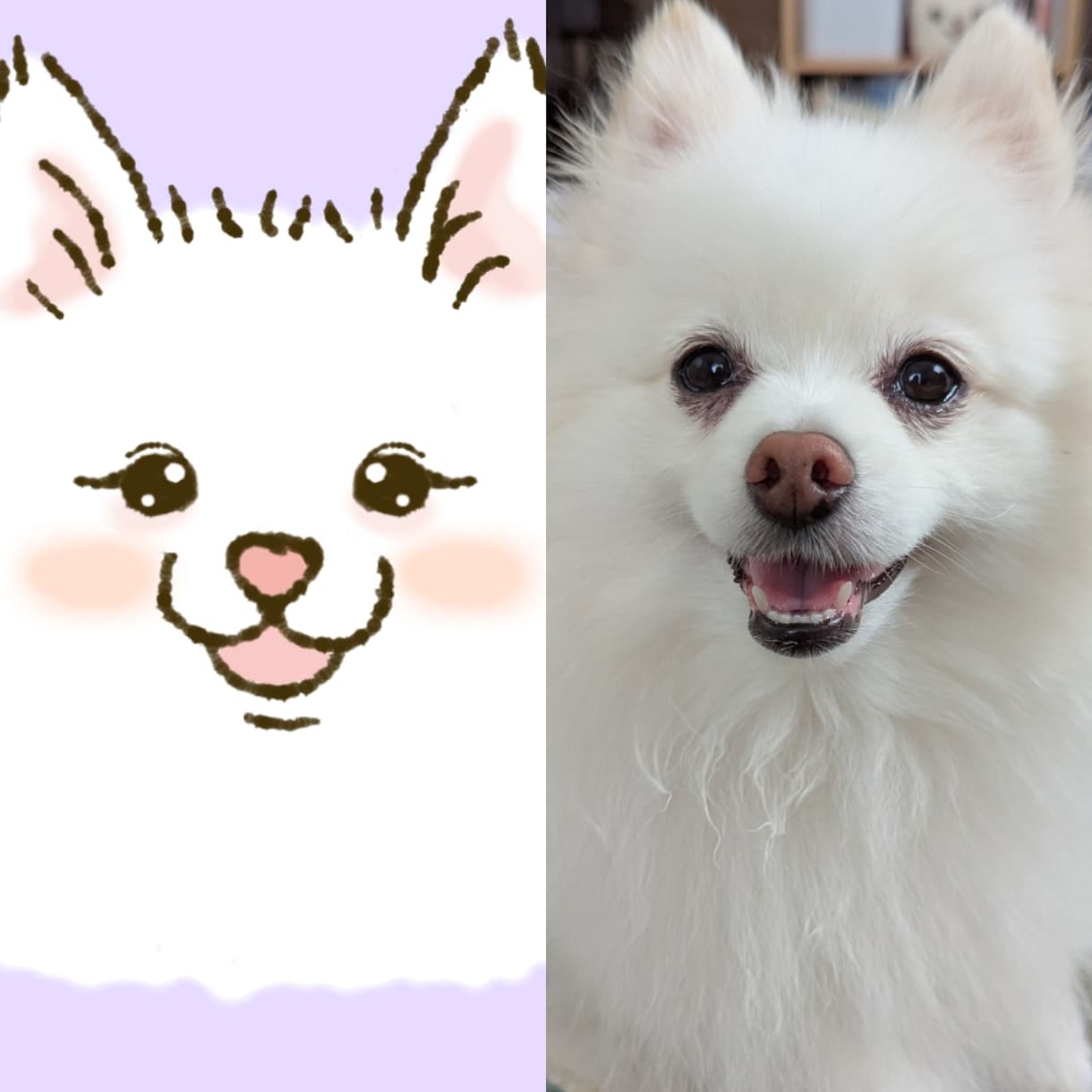 うちの子のデフォルメイラストを描きます うちの子を、可愛いイラストにしてアイコンや待ち受け画面に！ イメージ2
