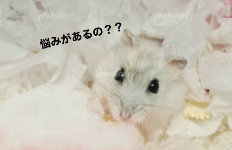友達感覚☆どんな話でも聞いちゃいます もやもやしてる人！とにかく暇な人も！話すことで楽になれます♪ イメージ2