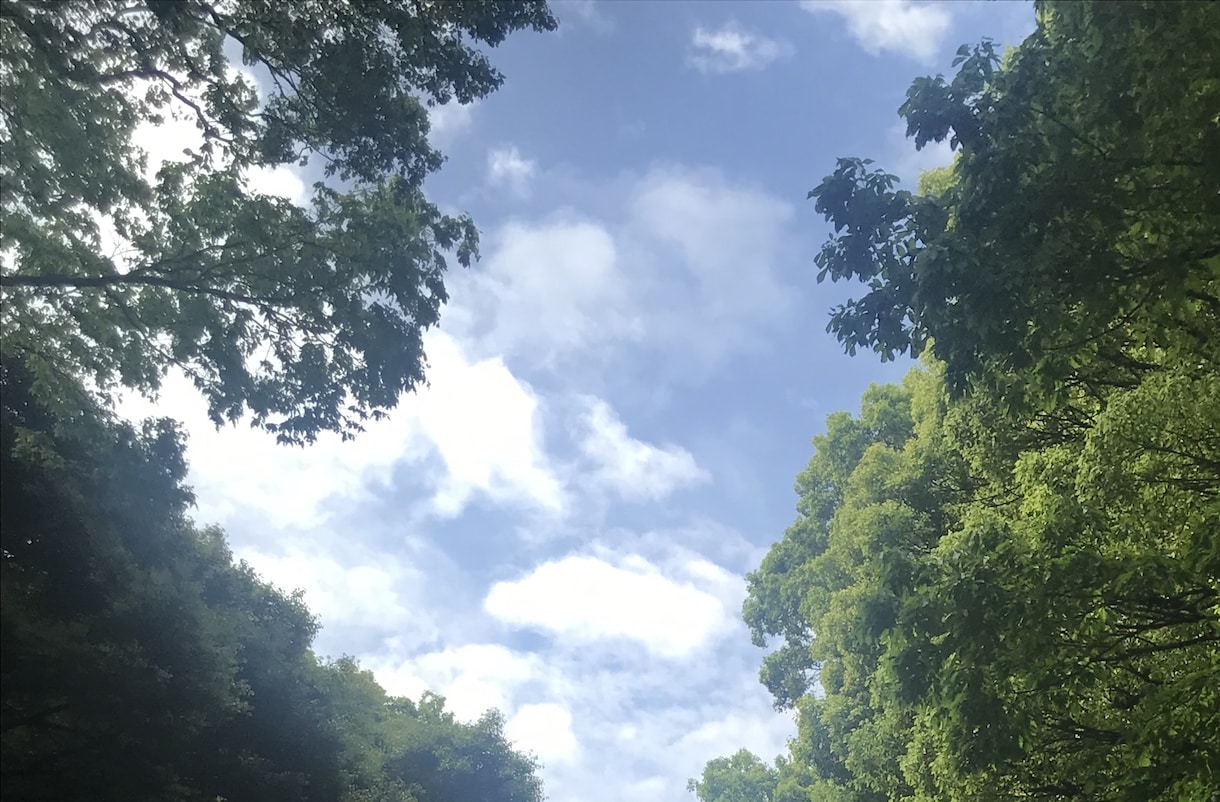母親や父親への不満や苦しみ聞きます 親の人生ではなく、自分の人生を生きていい イメージ2