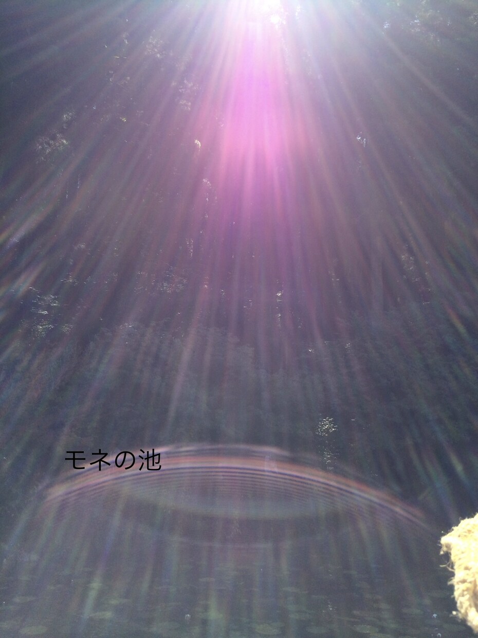電話占い⭐︎天性霊感・エンパスでバシっと鑑定します ⭐︎霊感カード占い: 恋愛・仕事・人間関係など占います⭐︎ イメージ4