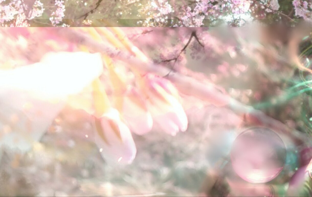 人間より長寿の❀桜の樹その精霊に貴方の幸せ聴きます 万物の一部である貴方♥桜の木からのメッセージ聴いてみませんか イメージ1