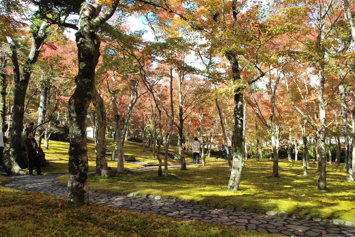 箱根町・小田原市のおすすめアドバイス致します 個人旅行、友人と、家族で、カップルで様々なシチュエーションに イメージ6