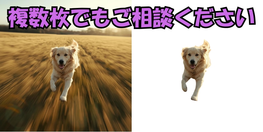 画像を透過いたします スピード重視！即日対応いたします。 イメージ2