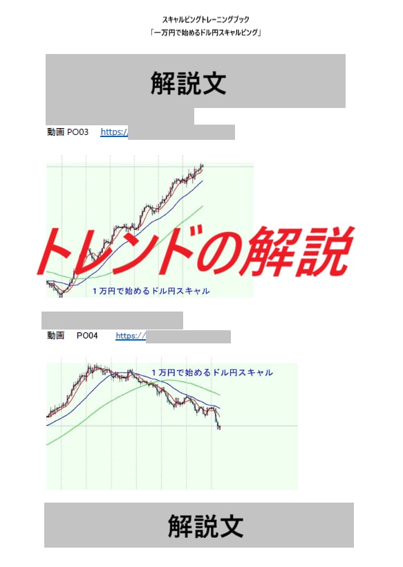 一万円で始めるドル円スキャルピング手法　公開します 動画42本で解説するスキャルピントレーニングブック イメージ3