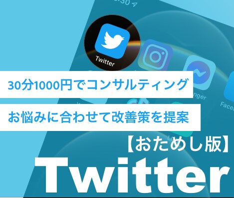 30分でTwitterでの集客ノウハウを教えます 1万フォロワー獲得実績あり！フォロワーUPから投稿改善まで！ イメージ1