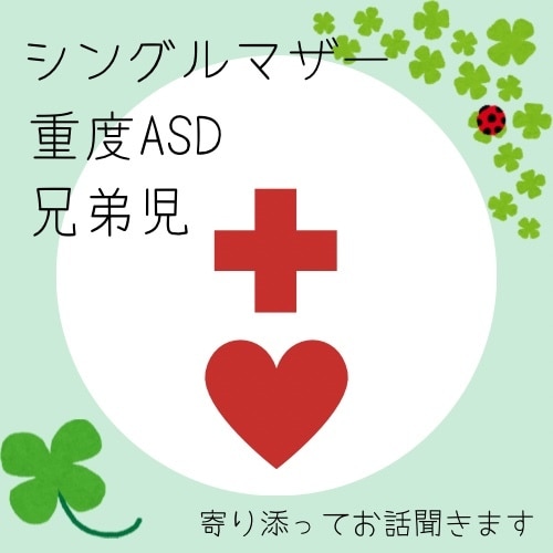 発達障害と兄弟児育児のお悩みに寄り添います 発達障害/兄弟児/重度/グレーゾーン イメージ1