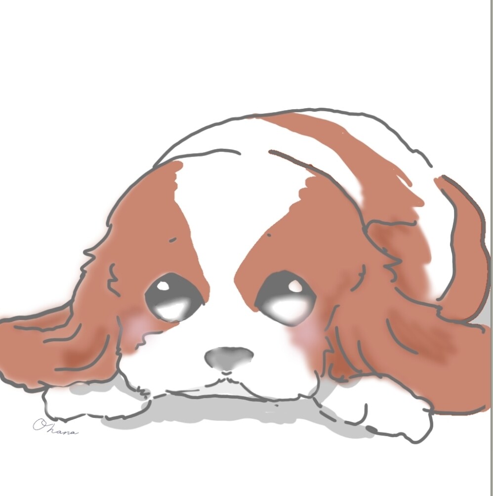 ゆるくて可愛いイラスト作成します ゆるくて可愛い愛犬イラストやミニキャラのイラスト作成します イメージ3