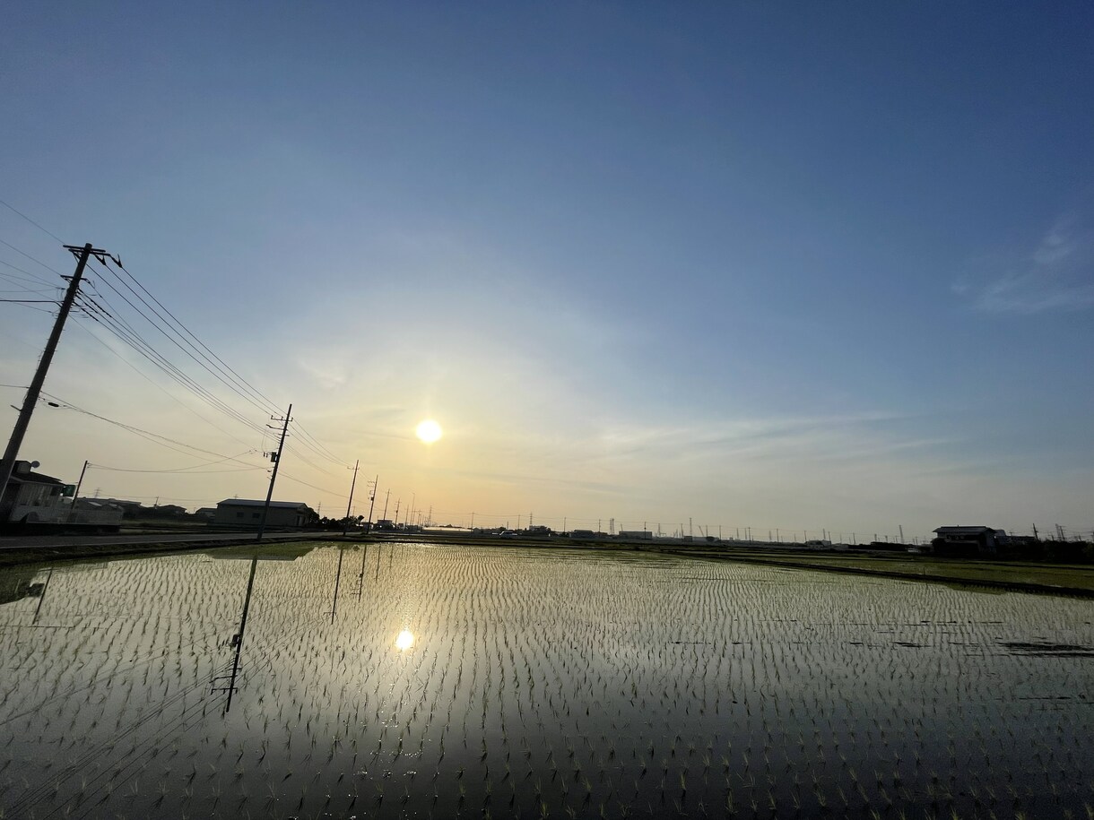 あなたのご両親の状況を確認します 離れて暮らしているご両親の状況をご報告します イメージ1