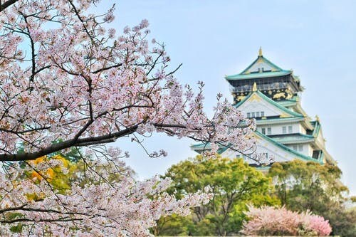 やさしいにほんごをおしえます Beginner Japanese,learn Japan イメージ1
