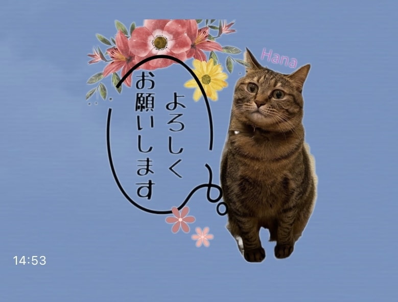 ペットのオリジナルLINEスタンプ作ります カワイイ！面白い！オリジナル！ イメージ3