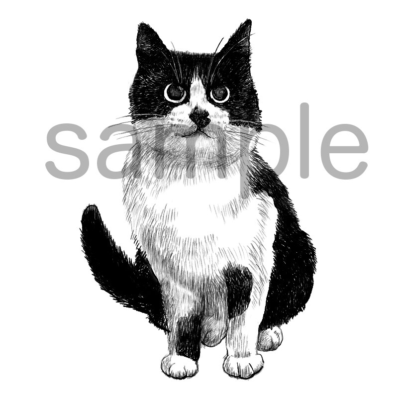 猫描/あなたの猫、描きます 一本ずつ編んでいくようなぎゅっ！と密度ある細かな似顔絵です イメージ3