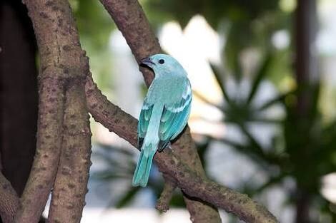 行方不明◆捜索◆かわいいペット探しのお手伝いします ヒントを元に自力で探す責任感のあるあなたへ イメージ8