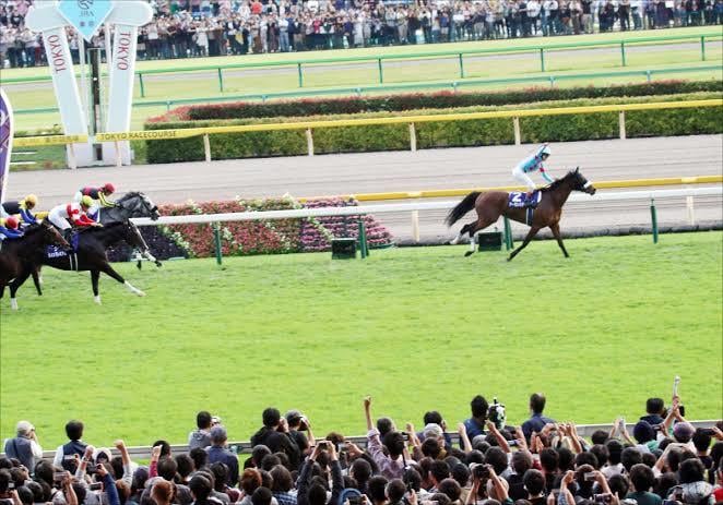 競馬予想！チャンプオンズＣ予想します 前日ステイヤーズS24点で三連単的中！ イメージ1