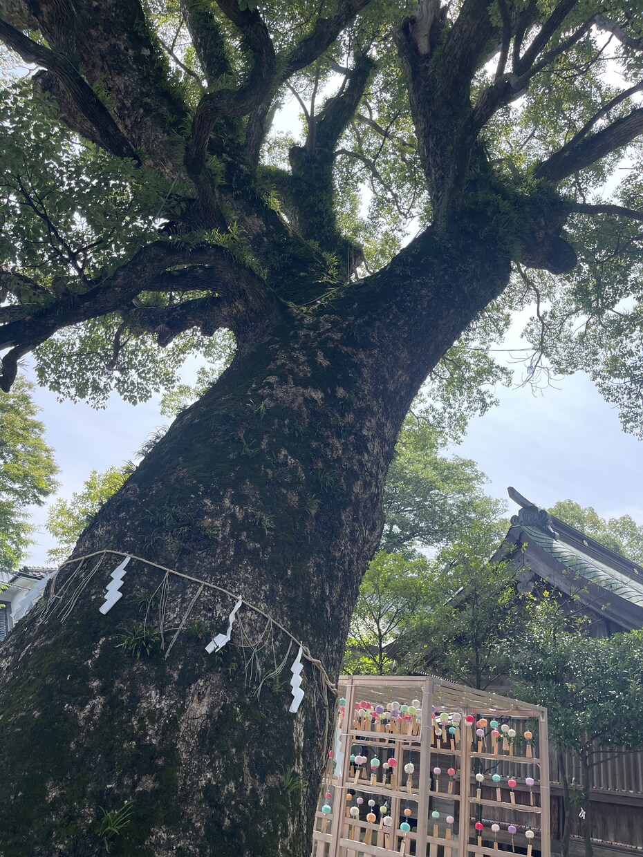 お話して前向きになる。まずは沢山吐き出します 今、少しでも楽になるそれは自分の声で自分の心を吐き出すから！ イメージ7