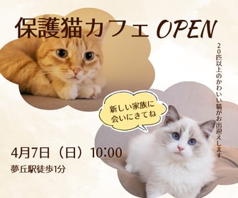 SNSや広告に使えるバナーを制作しますます 想いが伝わる、目を引くデザインを丁寧に制作します。 イメージ1