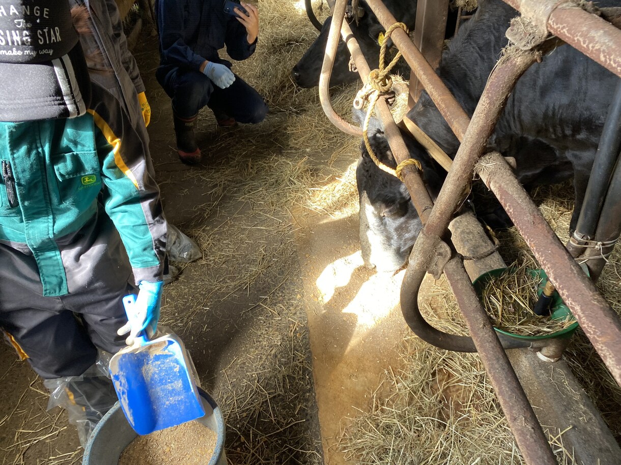 生産者目線で皆様の疑問にお答えします 毎日食べる体験をしている皆さまの食卓が豊かになりますに。 イメージ7