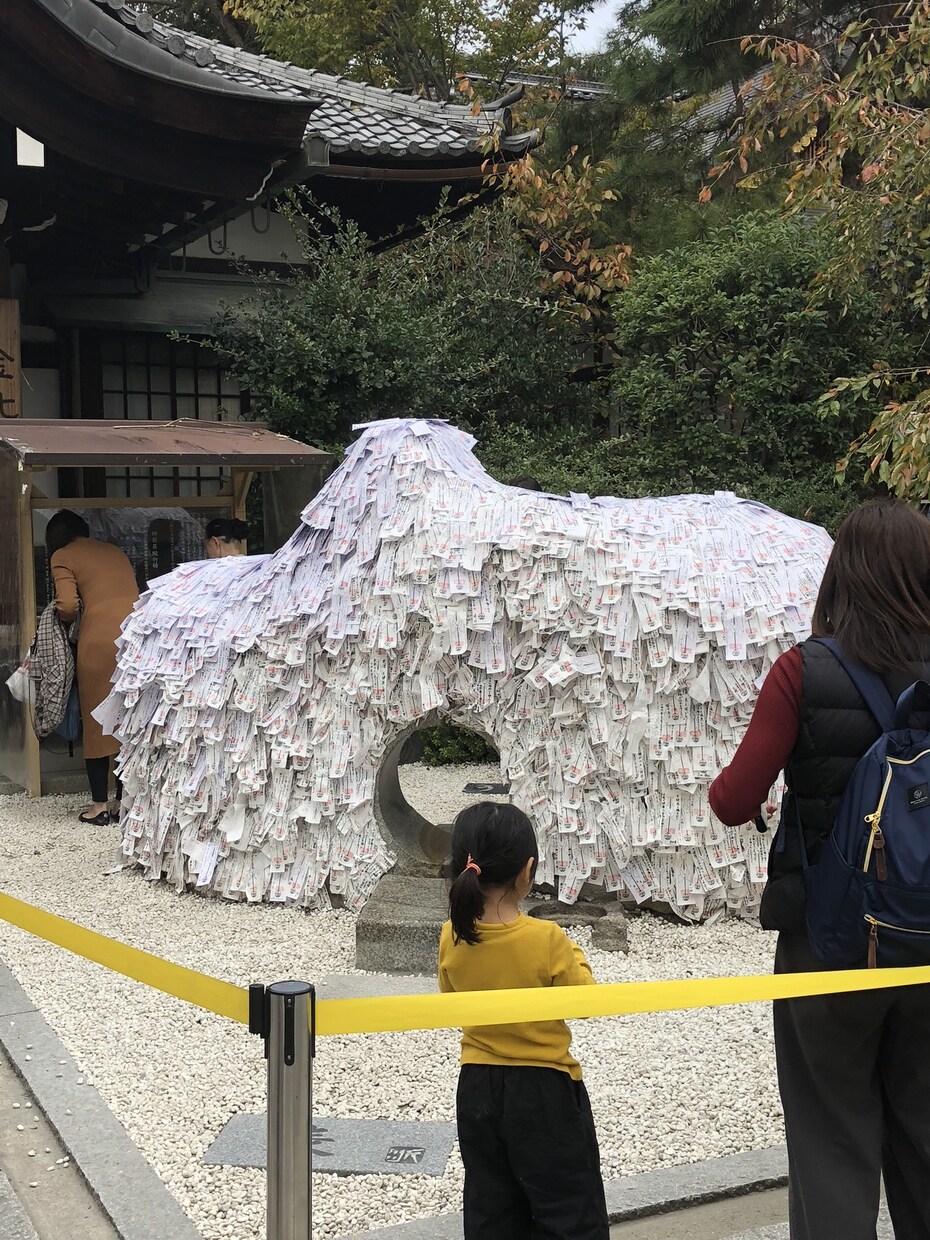 京都のSNS映えする場所、物、撮影します SNS映えする場所、物の撮影代行致します！ イメージ3