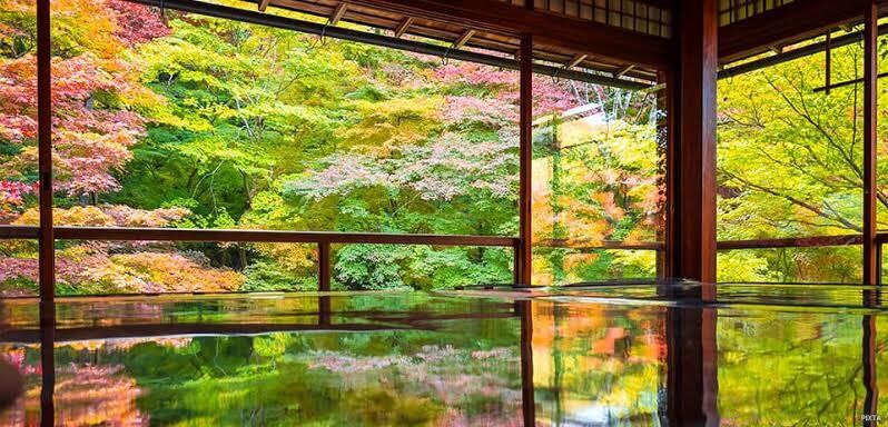 KYOTO Trip plan for youます 地元民にしか分からない最高の京都旅を！English ok イメージ3